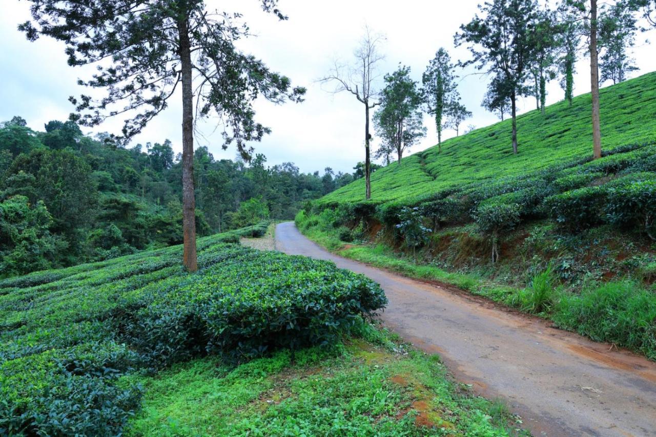 Green View Holiday Home Vythiri Buitenkant foto