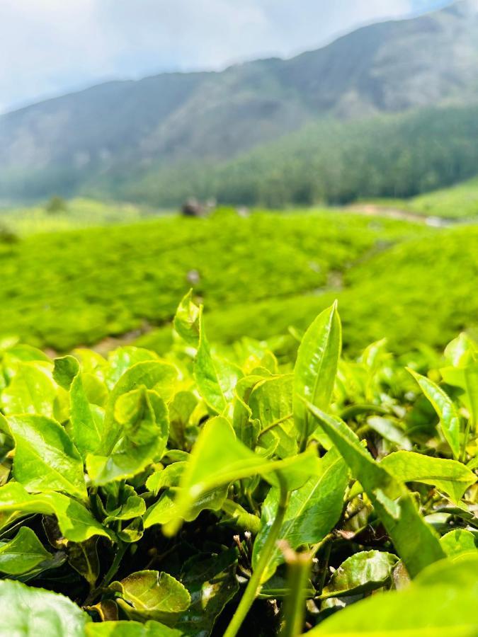 Green View Holiday Home Vythiri Buitenkant foto
