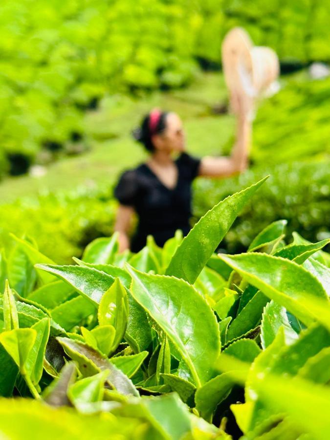 Green View Holiday Home Vythiri Buitenkant foto