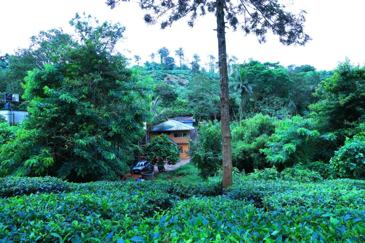 Green View Holiday Home Vythiri Buitenkant foto