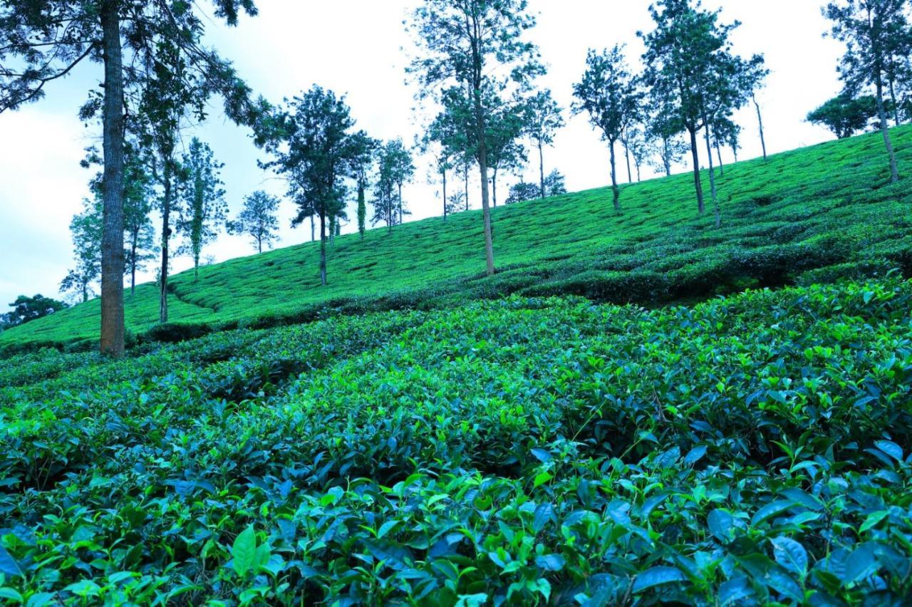 Green View Holiday Home Vythiri Buitenkant foto