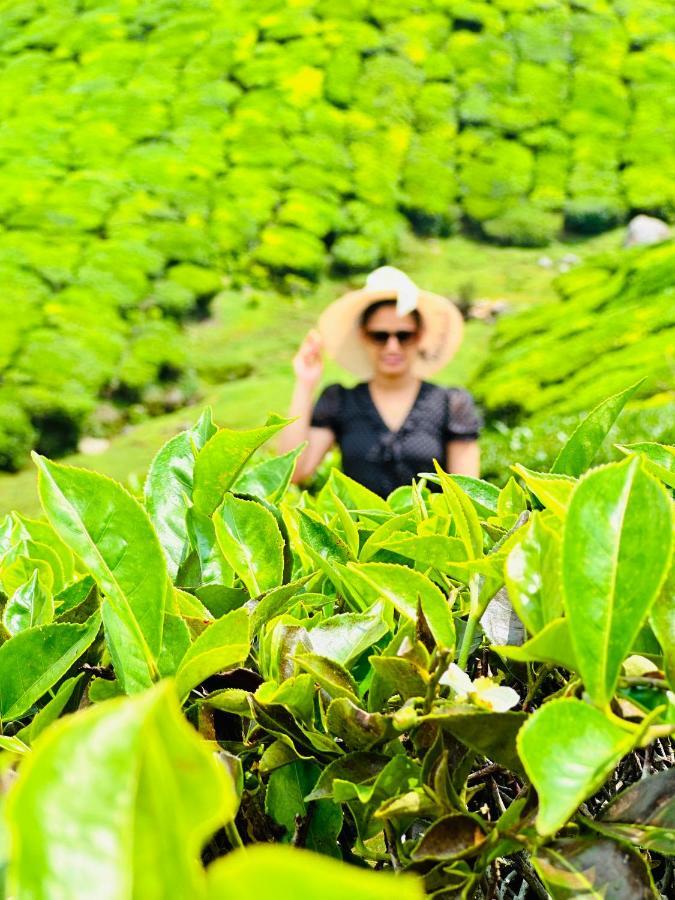Green View Holiday Home Vythiri Buitenkant foto